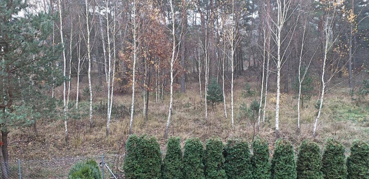 Apartament Zielona Ostoja Borne Sulinowo Zewnętrze zdjęcie
